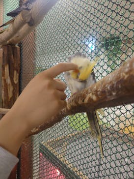 アニタッチ 東京ドームシティに投稿された画像（2025/10/27）