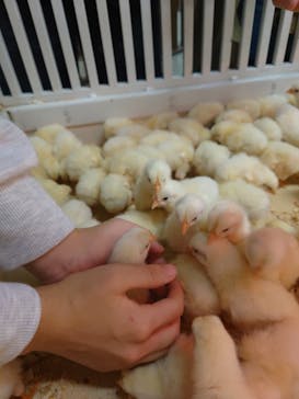 アニタッチ 東京ドームシティに投稿された画像（2025/10/27）