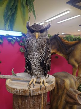 アニタッチ 東京ドームシティに投稿された画像（2025/10/27）