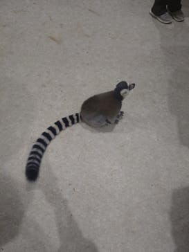 アニタッチ 東京ドームシティに投稿された画像（2025/10/27）