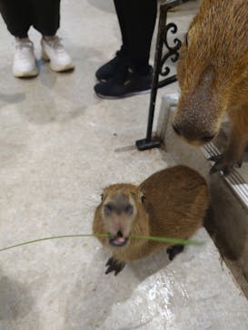 アニタッチ 東京ドームシティに投稿された画像（2025/10/27）