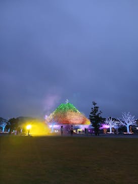 東京メガイルミに投稿された画像（2025/10/27）