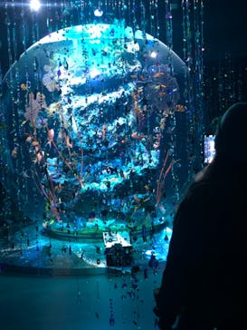 AQUARIUM × ART　atoaに投稿された画像（2025/10/27）