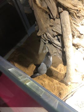 AQUARIUM × ART　atoaに投稿された画像（2025/10/27）