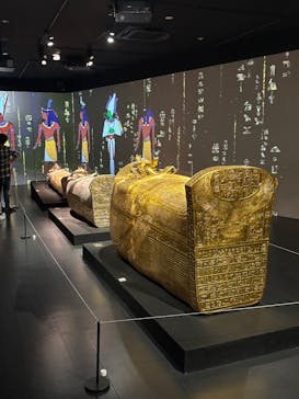 MYSTERY OF TUTANKHAMEN 体感型古代エジプト展に投稿された画像（2025/10/27）