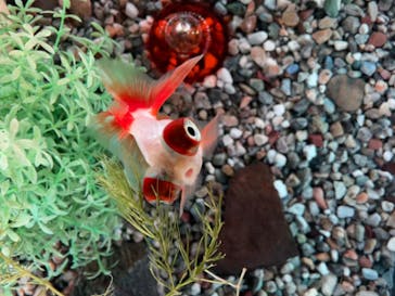 ゼロ距離水族館 伊勢シーパラダイスに投稿された画像（2025/10/27）