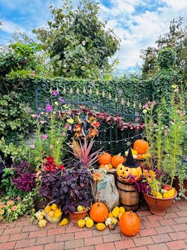 横浜イングリッシュガーデンに投稿された画像（2025/10/27）