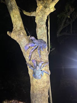 Nami宮古島に投稿された画像（2025/10/27）