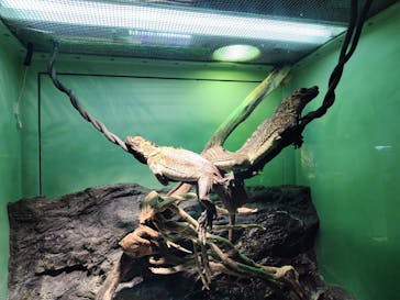 サンシャイン水族館に投稿された画像（2025/10/27）