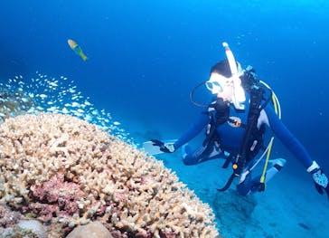 沖縄ダイビング　Hiroseaに投稿された画像（2025/10/27）