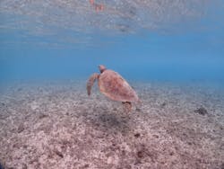 ちゃこたびに投稿された画像（2025/10/27）