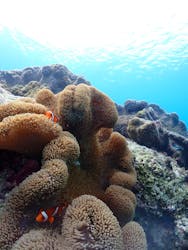 ちゃこたびに投稿された画像（2025/10/27）