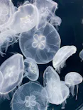 仙台うみの杜水族館に投稿された画像（2025/10/27）