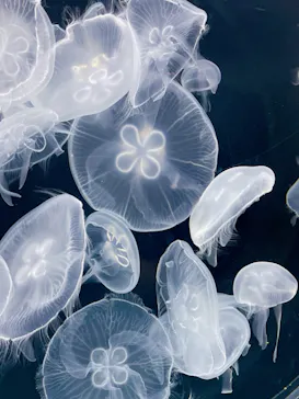 仙台うみの杜水族館に投稿された画像（2025/10/27）