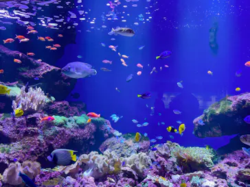 仙台うみの杜水族館に投稿された画像（2025/10/27）