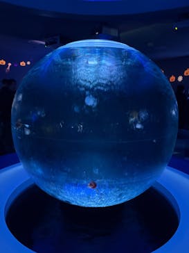 新江ノ島水族館に投稿された画像（2025/10/27）