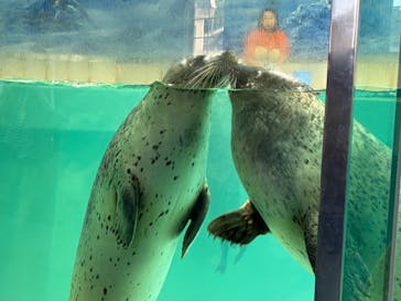 下田海中水族館に投稿された画像（2025/10/27）