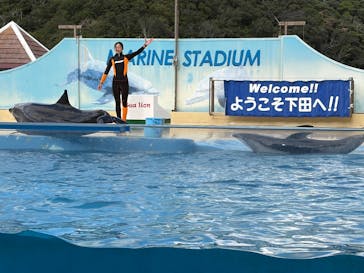 下田海中水族館に投稿された画像（2025/10/27）