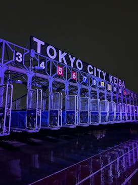 東京メガイルミに投稿された画像（2025/10/27）