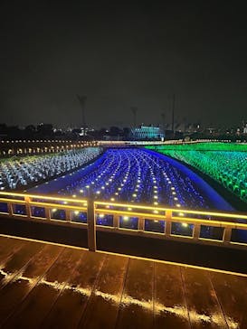 東京メガイルミに投稿された画像（2025/10/27）