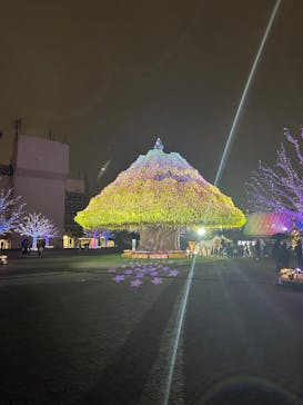 東京メガイルミに投稿された画像（2025/10/27）