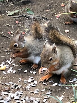 那須どうぶつ王国に投稿された画像（2025/10/27）