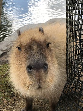 那須どうぶつ王国に投稿された画像（2025/10/27）