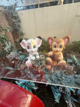 西武園ゆうえんちに投稿された画像（2025/10/27）