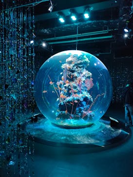 AQUARIUM × ART　atoaに投稿された画像（2025/10/27）