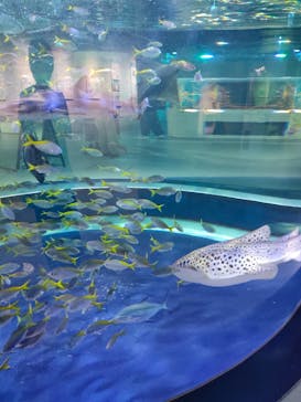 AQUARIUM × ART　atoaに投稿された画像（2025/10/27）