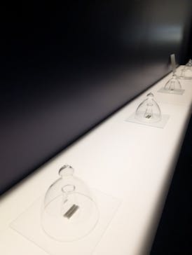 正倉院 THE SHOW ―感じる。いま、ここにある奇跡―　@上野の森美術館に投稿された画像（2025/10/27）