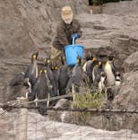 葛西臨海水族園に投稿された画像（2025/10/28）