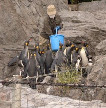 葛西臨海水族園に投稿された画像（2025/10/28）