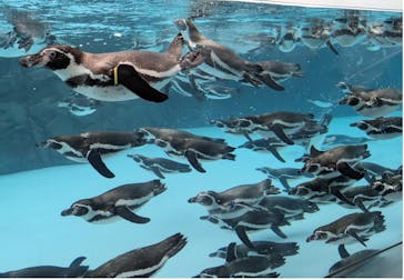 葛西臨海水族園に投稿された画像（2025/10/28）