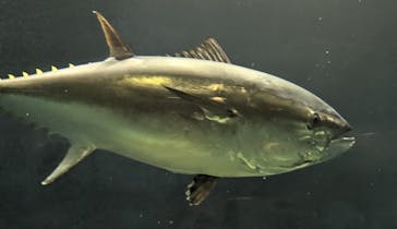 葛西臨海水族園に投稿された画像（2025/10/28）