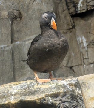 葛西臨海水族園に投稿された画像（2025/10/28）