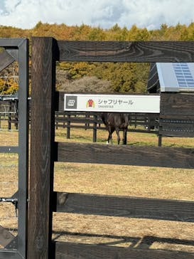 ノーザンホースパークに投稿された画像（2025/10/28）