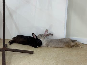 アニタッチ MARK IS 静岡に投稿された画像（2025/10/28）