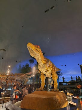 福井県立恐竜博物館に投稿された画像（2025/10/28）