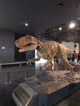 福井県立恐竜博物館に投稿された画像（2025/10/28）