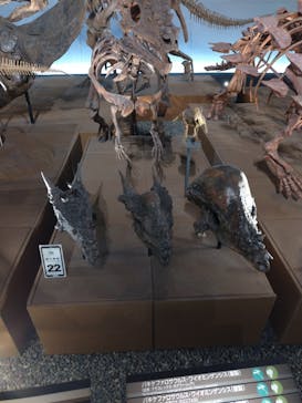 福井県立恐竜博物館に投稿された画像（2025/10/28）