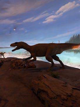 福井県立恐竜博物館に投稿された画像（2025/10/28）