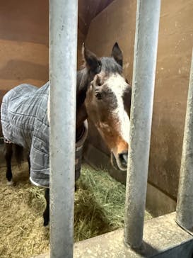 ノーザンホースパークに投稿された画像（2025/10/28）