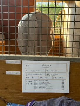 ノーザンホースパークに投稿された画像（2025/10/28）