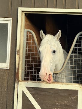 ノーザンホースパークに投稿された画像（2025/10/28）