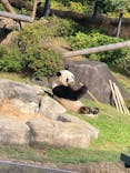 恩賜上野動物園に投稿された画像（2025/10/28）