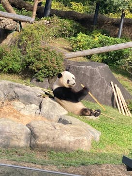 恩賜上野動物園に投稿された画像（2025/10/28）