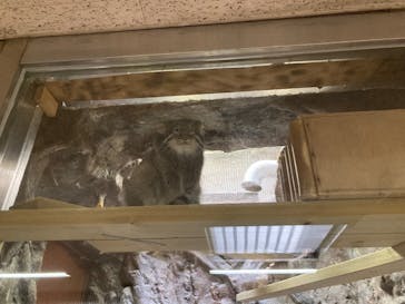 恩賜上野動物園に投稿された画像（2025/10/28）