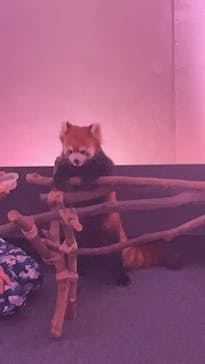 横浜・八景島シーパラダイスに投稿された画像（2025/10/28）