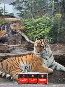 那須どうぶつ王国に投稿された画像（2025/10/28）